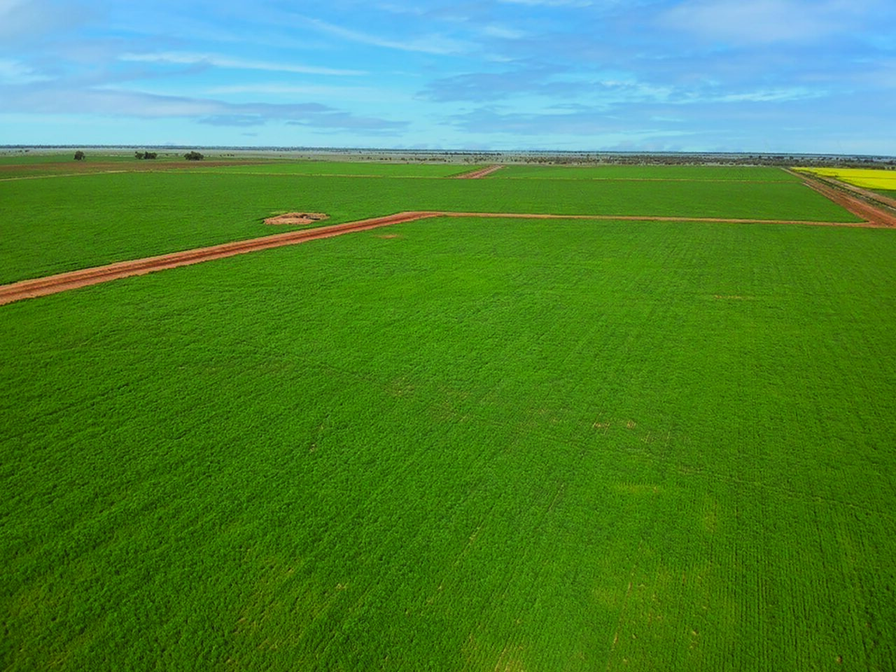 Farm 647, McLarty Rd, Coleambally Mannes Agencies