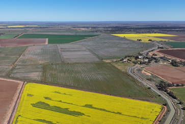 Farm 205, 347 Fairlie Grange Road Coleambally