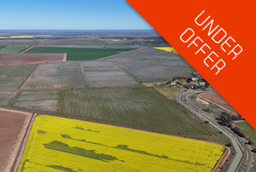 Farm 205, 347 Fairlie Grange Road Coleambally