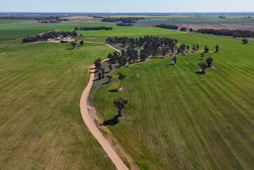 Farm 25, 1354 Main Canal Road, Coleambally