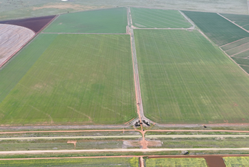 Farm 644, Lots 69 & 70 Leonard Road, Coleambally