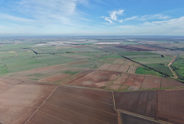 Farms 518 (East) & 518 (West), 207 Wood Road, Coleambally